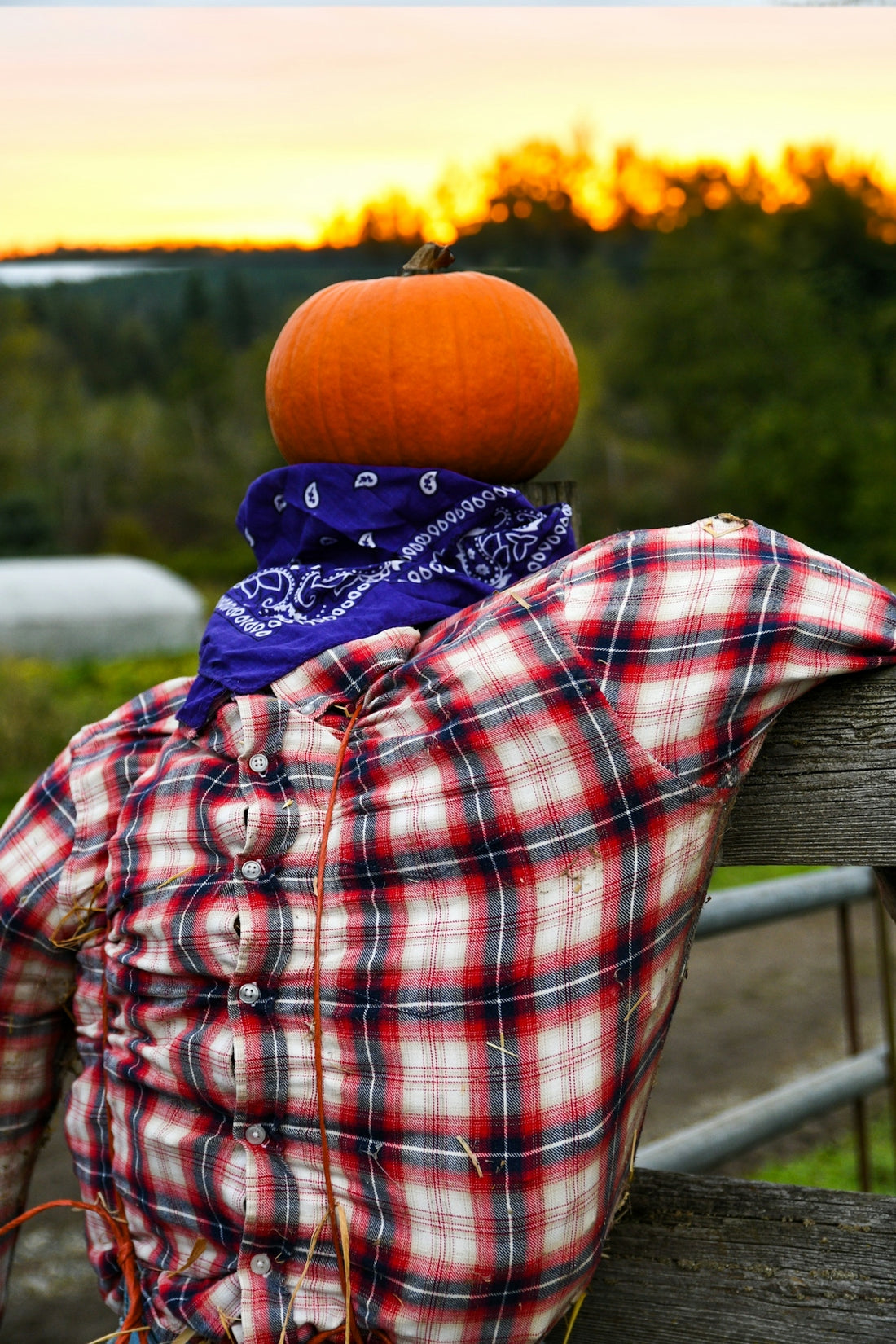 a pumpkin sitting on top of a plaid shirt