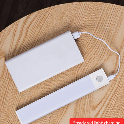 LED Cabinet Light USB Type-C Rechargeable Motion Sensor Led Lamp for Kitchen Wardrobe Cabinet Lighting 20cm/30cm/40cm/50cm/60cm