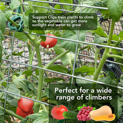 Outdoor Garden Trellis for Climbing Plants Vegetables with Support Clips