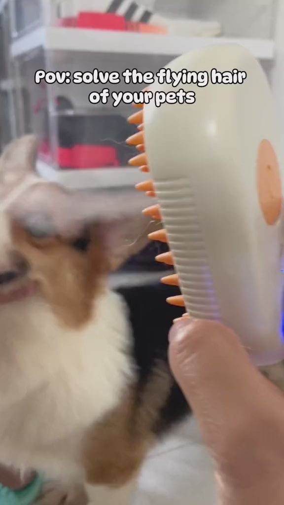 Cat Steam Brush Steamy Dog Brush 3 In 1 Electric Spray Cat Hair Brushes For Massage Pet Grooming Comb Hair Removal Combs Pet Products